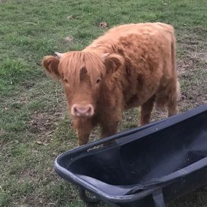 Meet your Posher, Brian